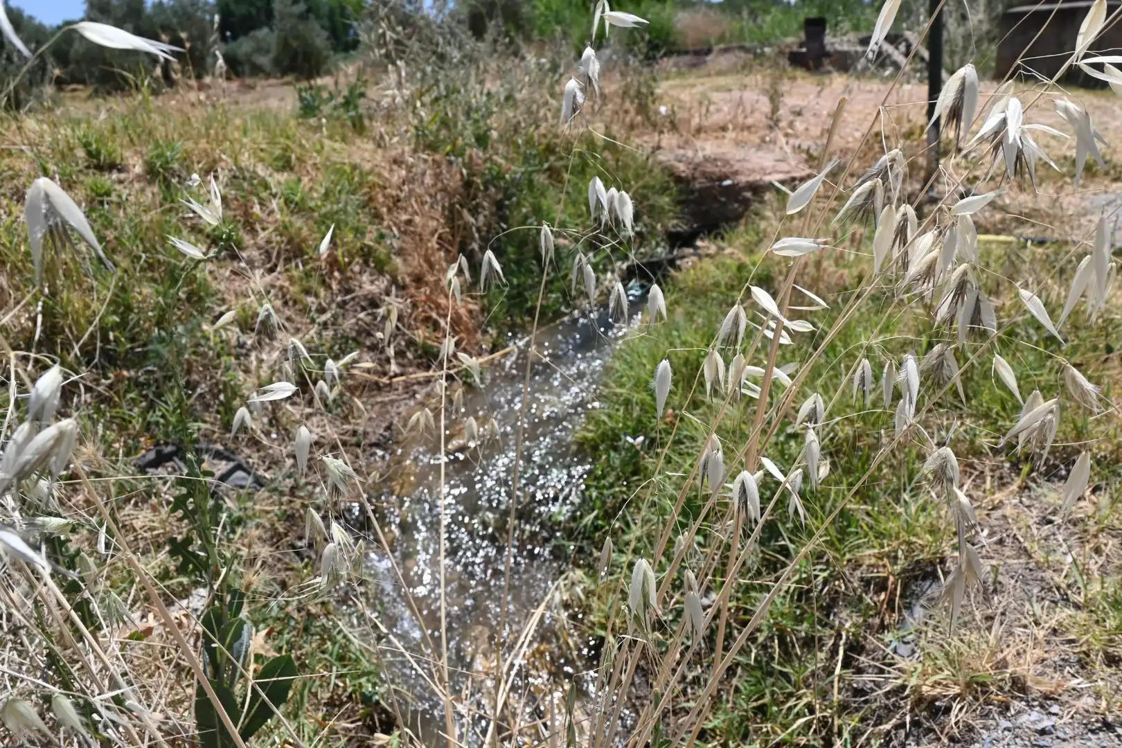 Terreni e lotti in vendita a Albolote, imagen 32