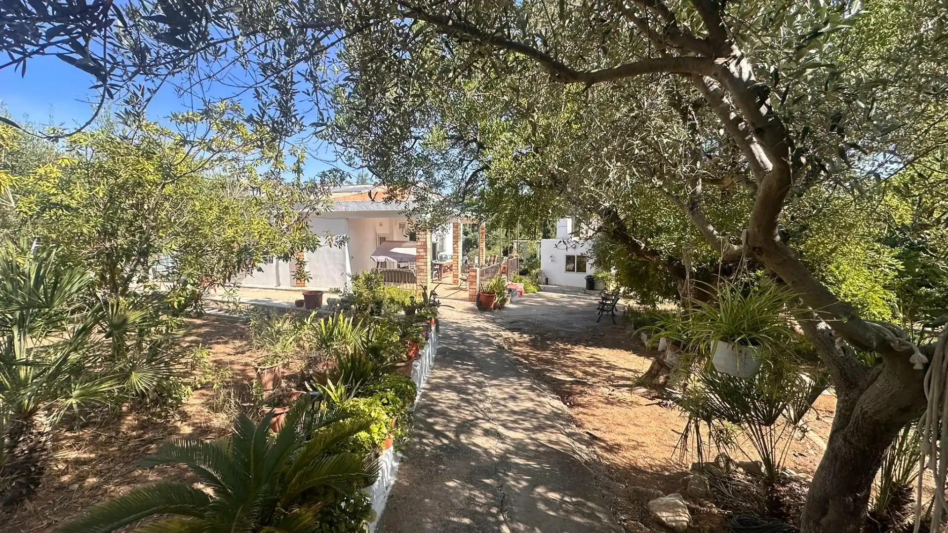 Exterior view of Houses for sale in Carlet  with Private garden, Terrace and Storage room