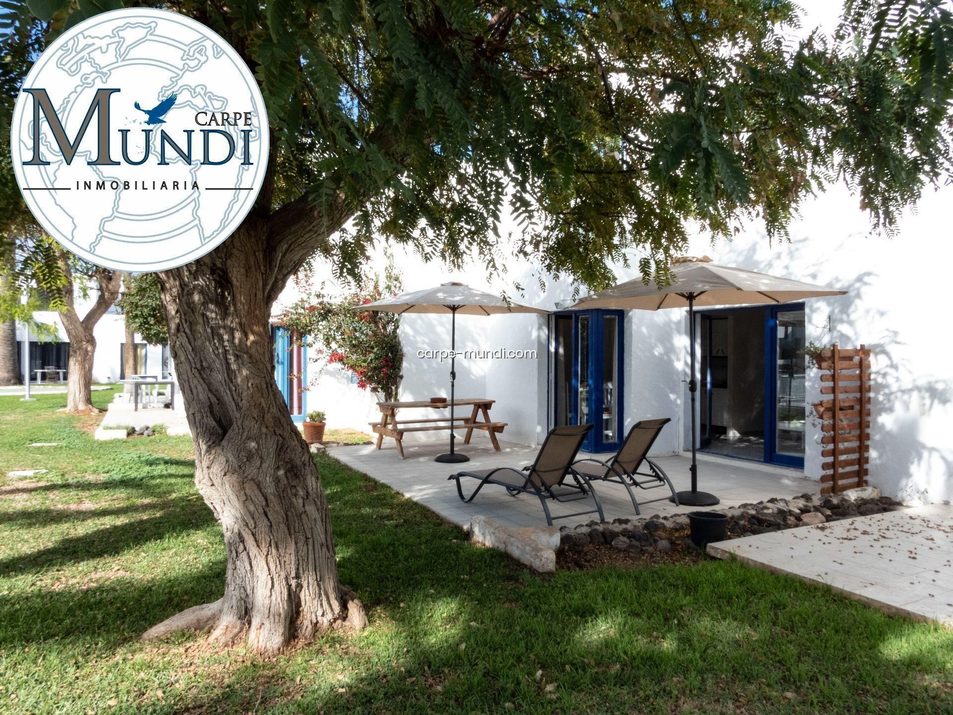 Jardí de Apartament en venda en La Oliva amb Terrassa i Piscina comunitària