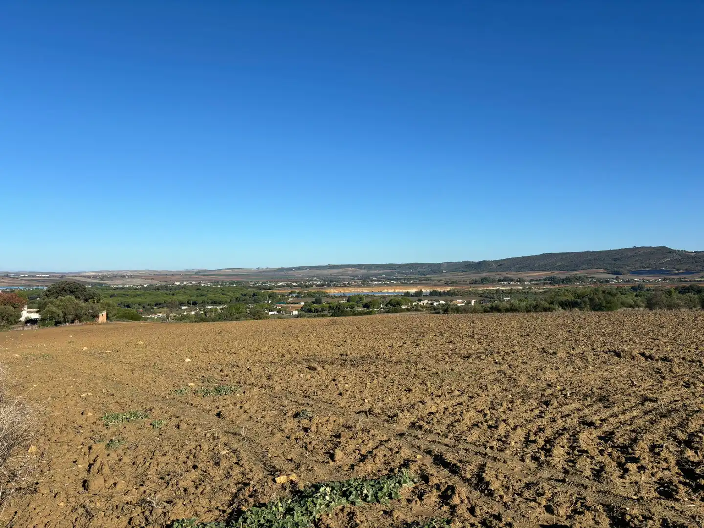 Terreny en venda en Arcos de la Frontera