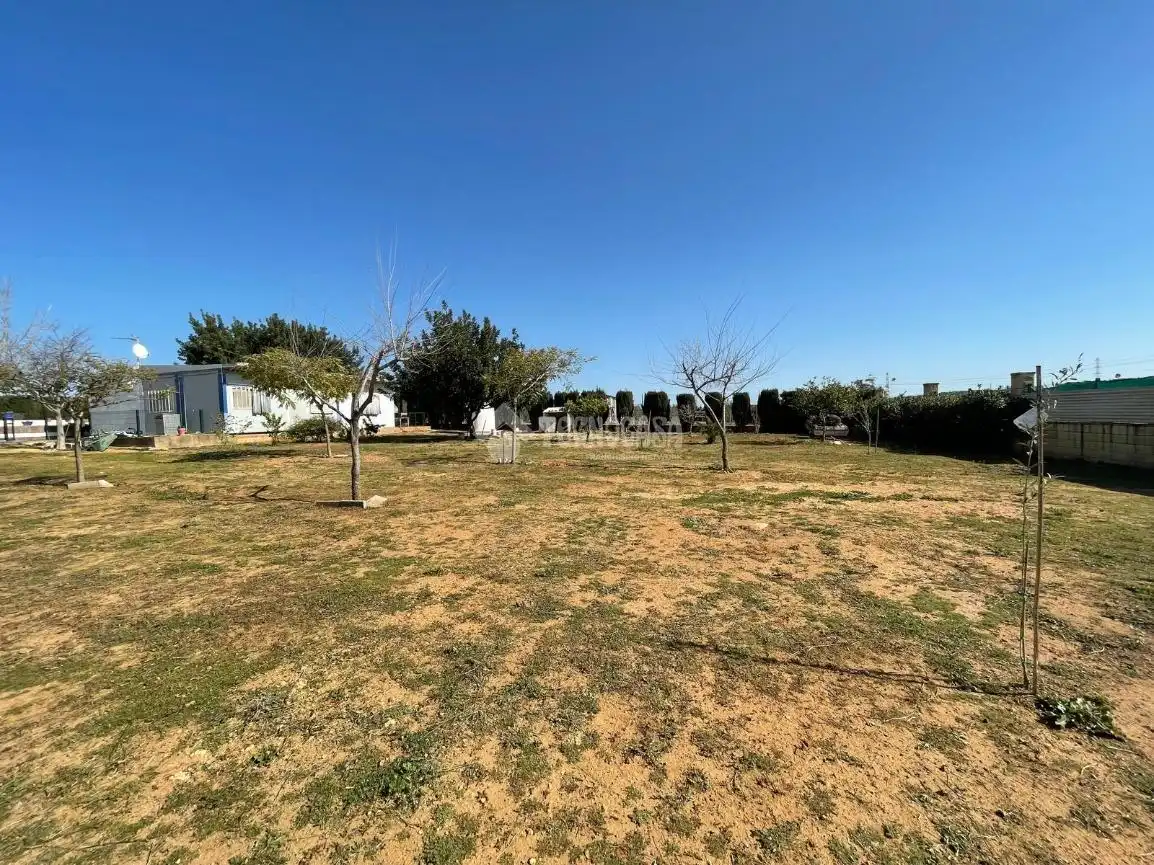 Finca rústica en venda en Carmona
