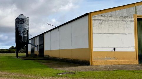 FINCA ECUESTRE DE 23 HA CON INSTALACIONES PROFESIONALES Y AGUA ABUNDANTE EN CÁCERES, immagine 3