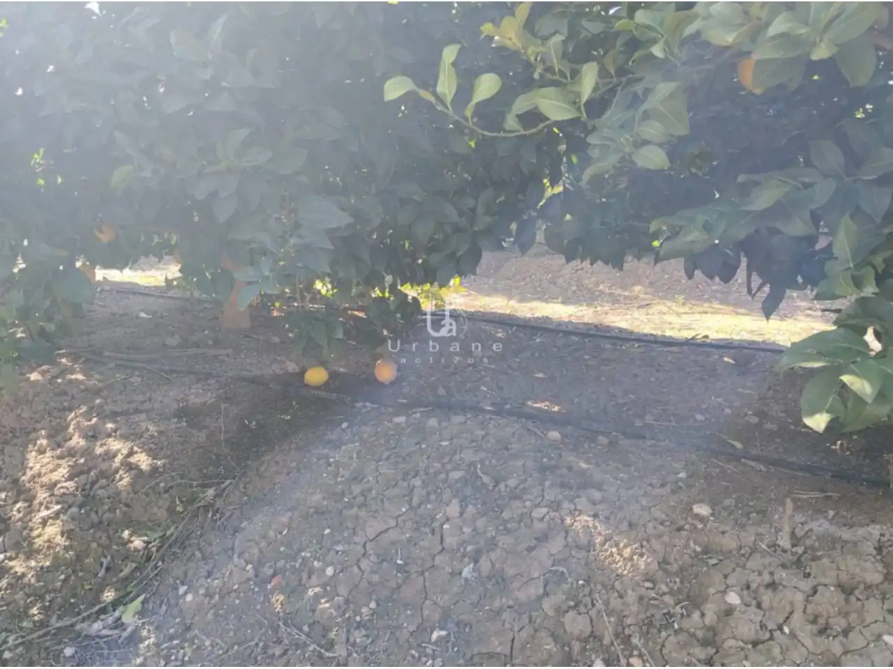 Terreny rústic en venda a Camino Huerta de Abajo, imagen 21