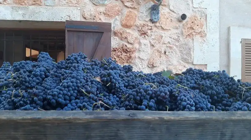 Casa rustica in vendita a Santa María del Camí