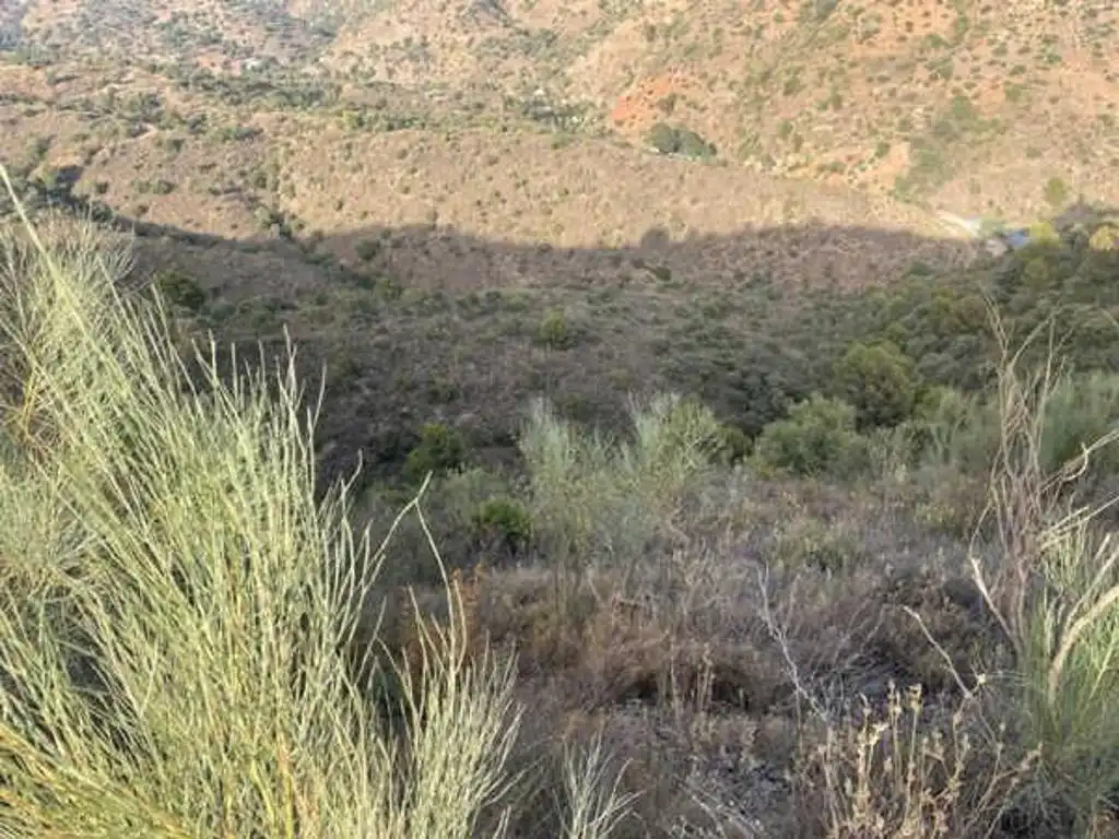 Terreny rústic en venda a Este, imagen 5