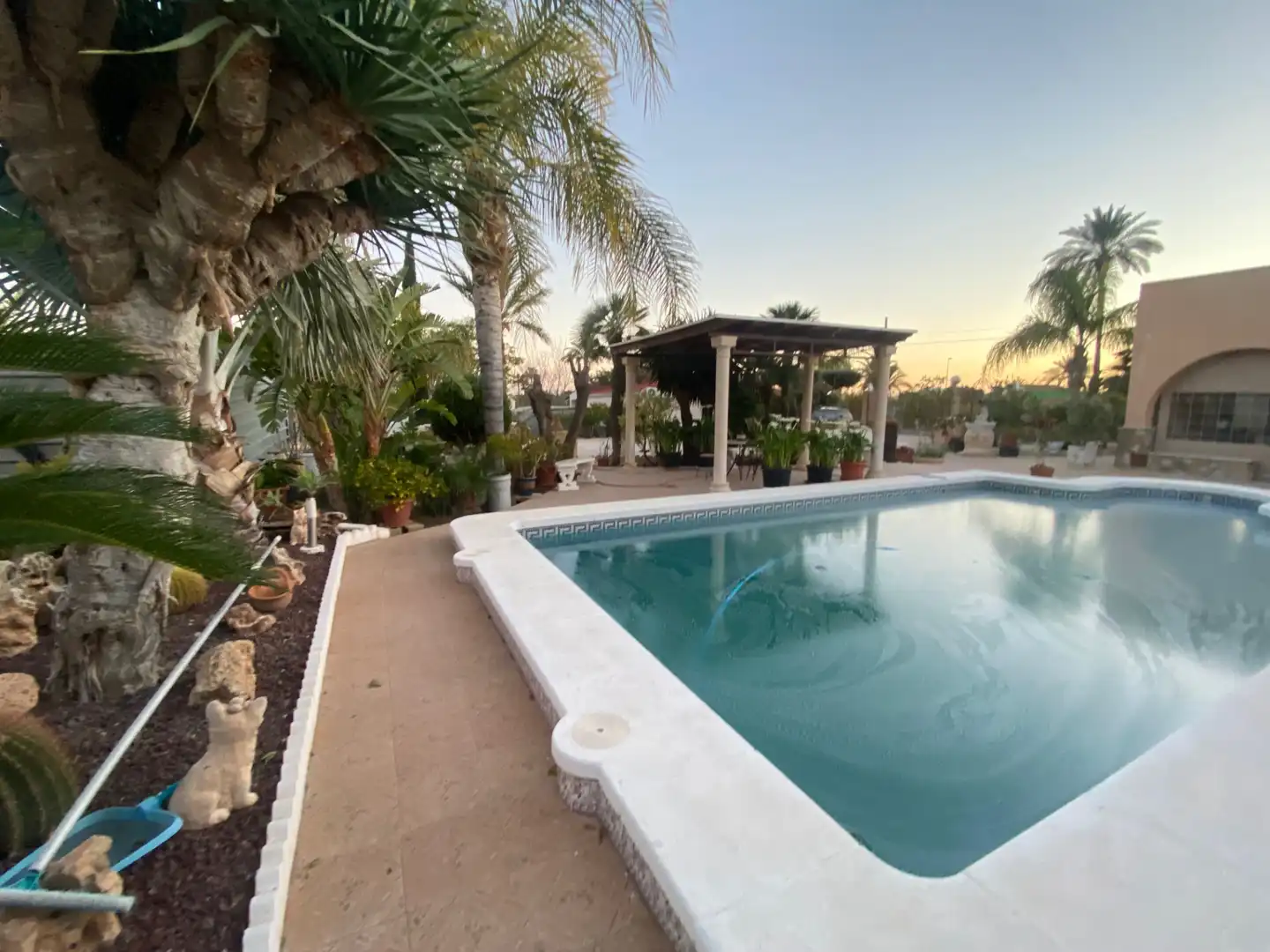 Piscina de Finca rústica en venda en Elche / Elx amb Jardí privat, Terrassa i Piscina