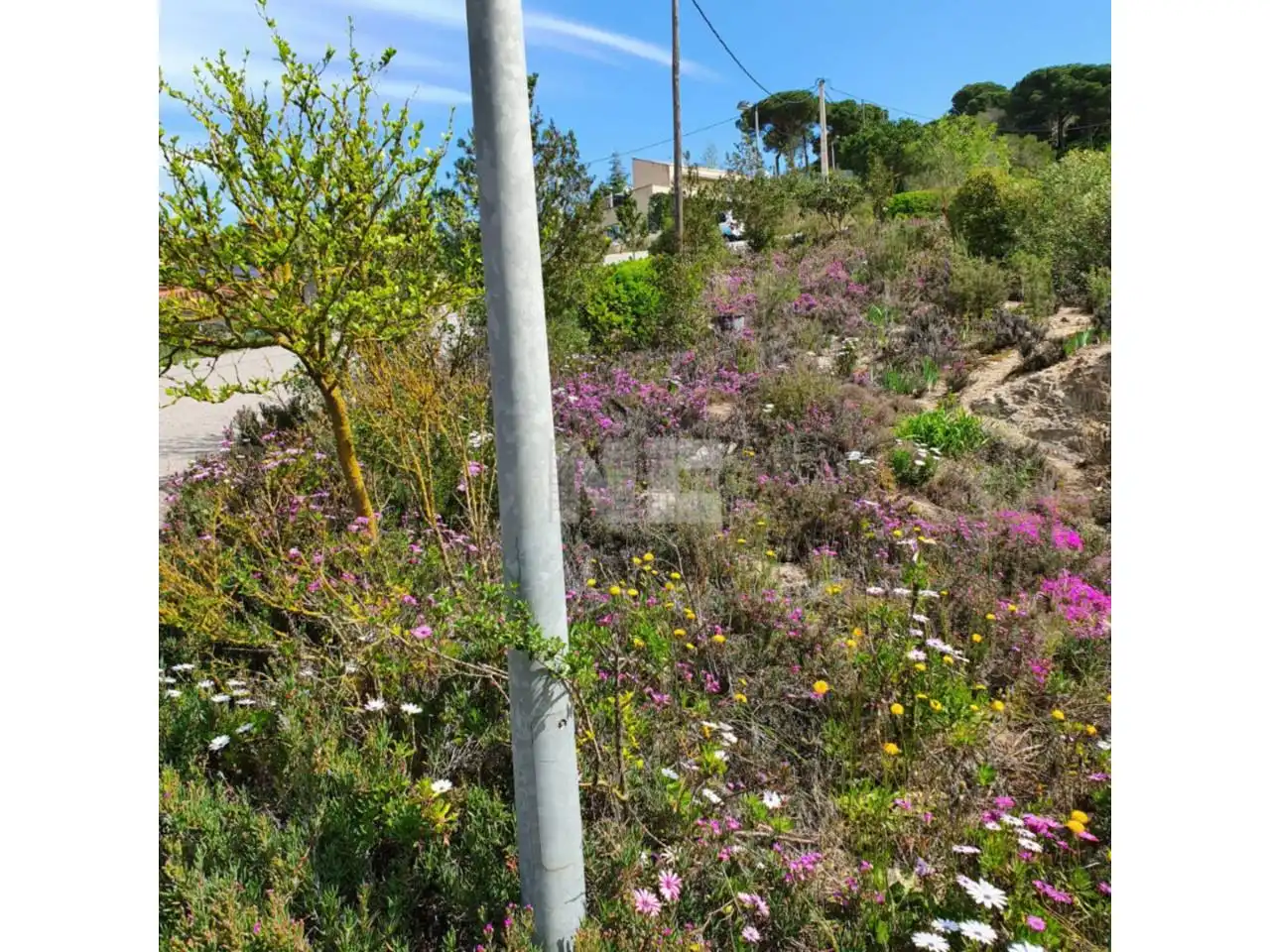 Rural land for sale in Vilanova del Vallès, imagen 18
