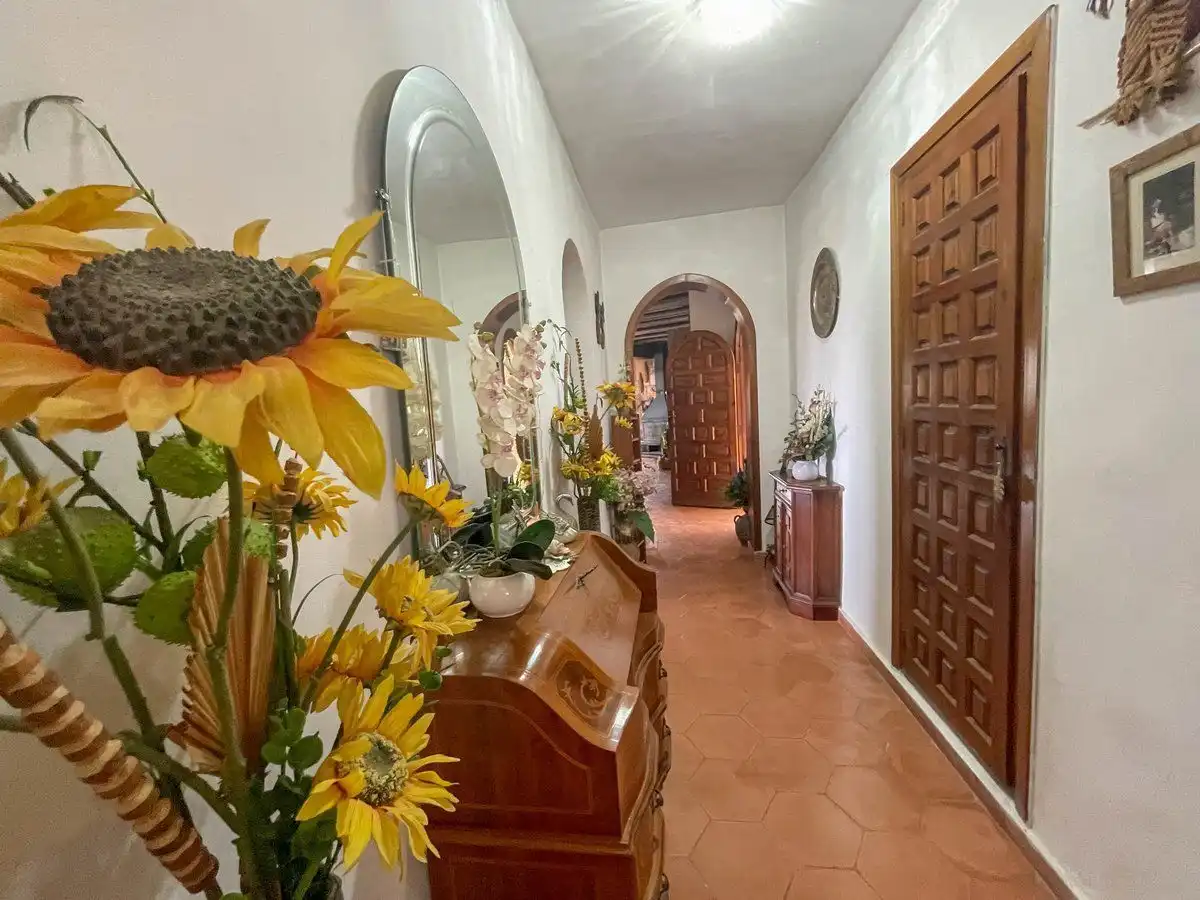 Maison à vendre à La Viña - Montemar - San Jaime, imagen 18