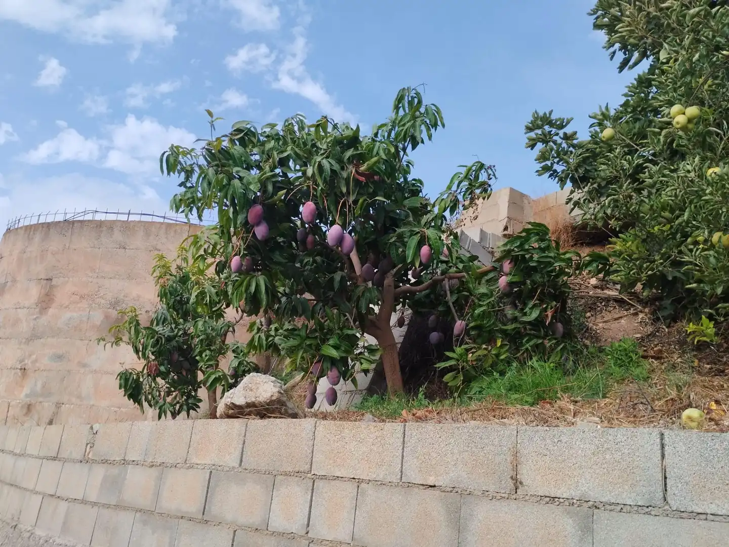 Casa rústica con terraza en venta en Camino Guájar-Faragüit, imagen 16