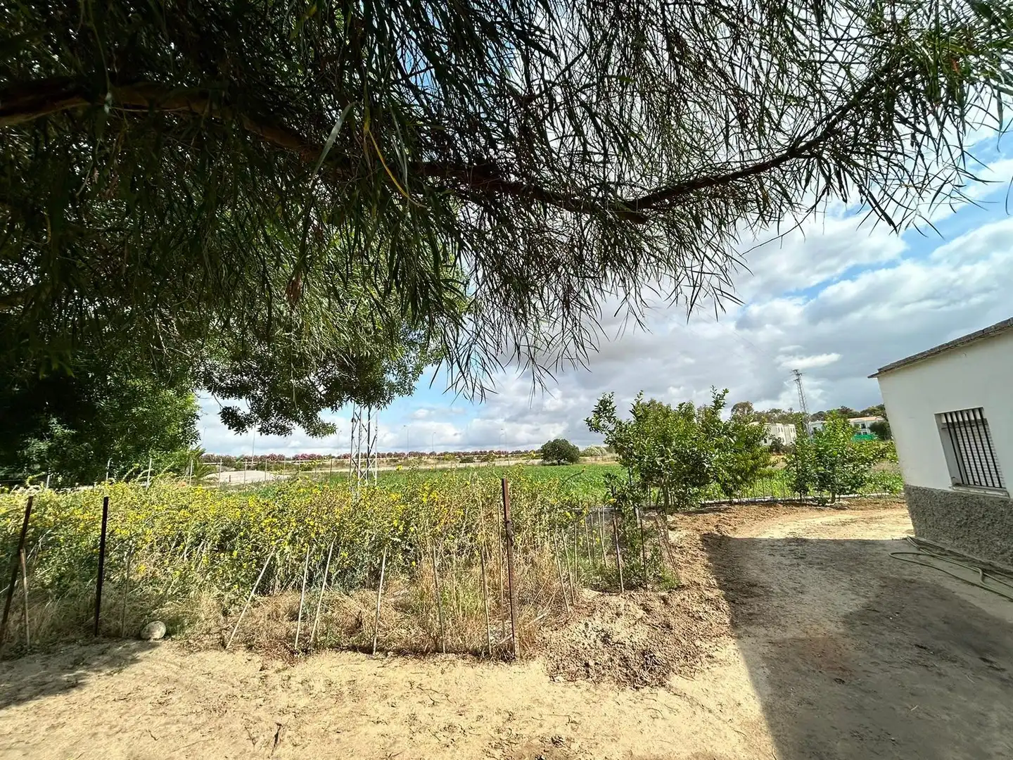 Landhaus mit Garten zum Verkauf in Jerez norte - Montealto - Pozoalbero, imagen 49