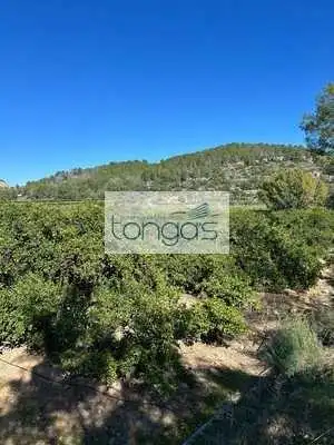 Terreny rústic en venda a Llanera de Ranes, imagen 3