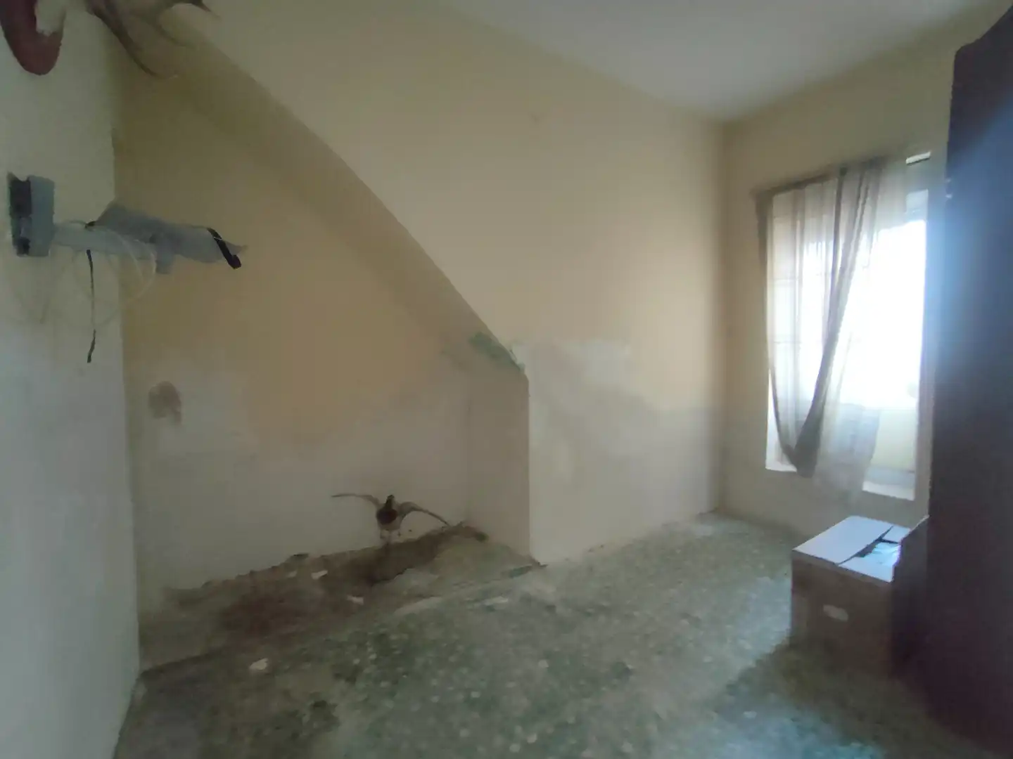 Casa o xalet en venda en Real amb Terrassa i Traster