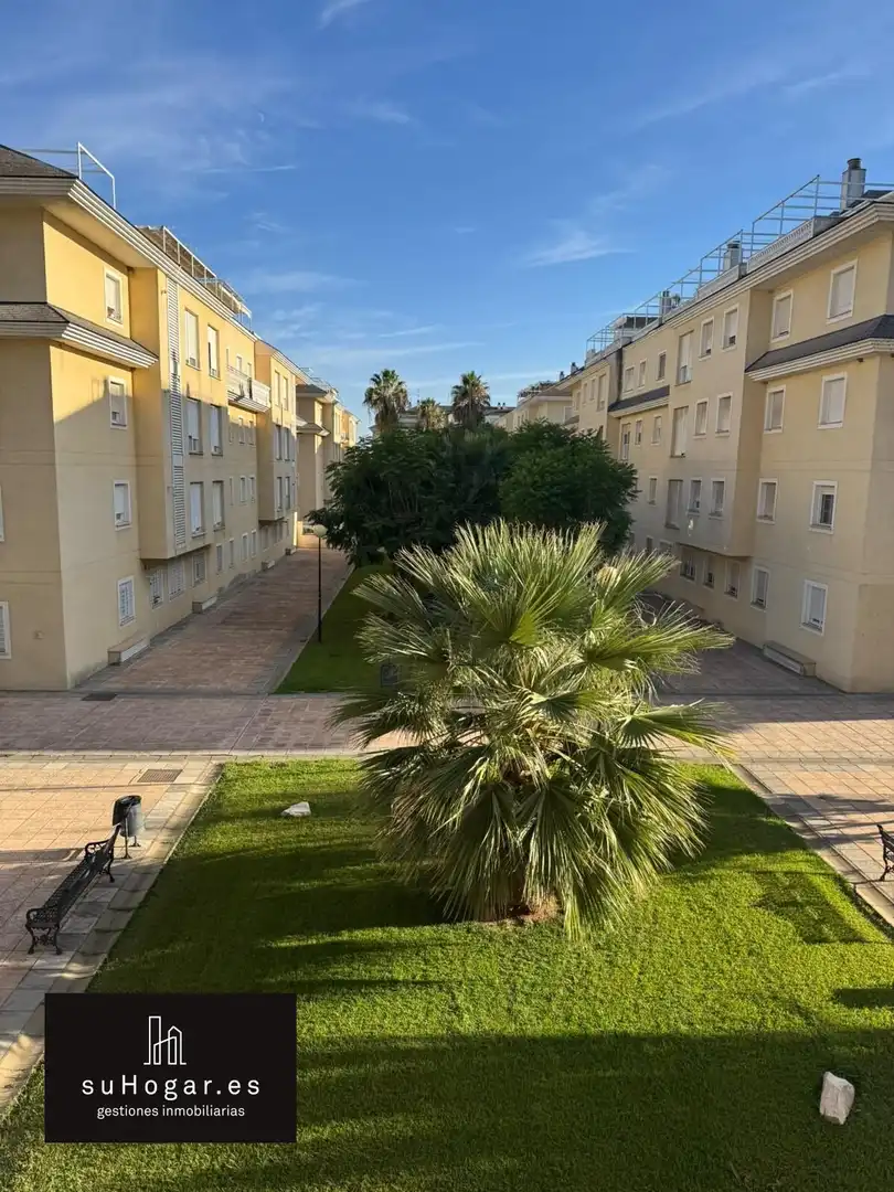 Apartament amb terrassa de lloguer a Avenida Elvas, imagen 11
