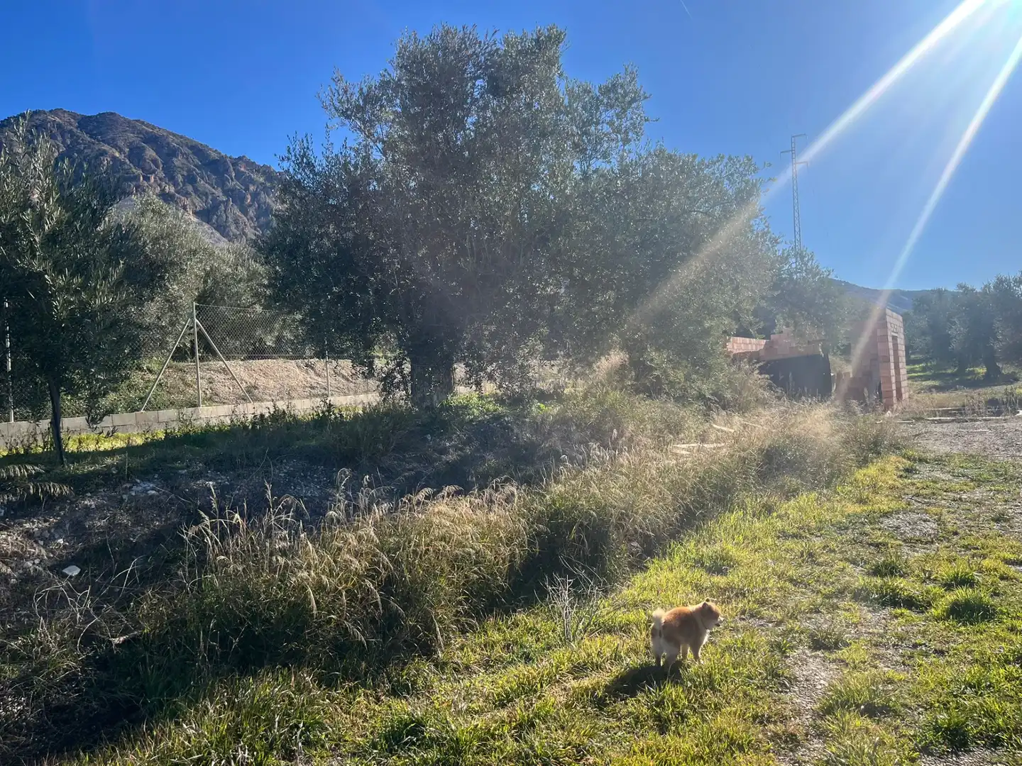 Rural land for sale in Calle Jose Saramago, imagen 3