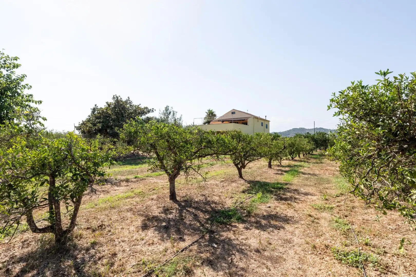 Casa rustica con giardino in vendita a Alcanar, imagen 11