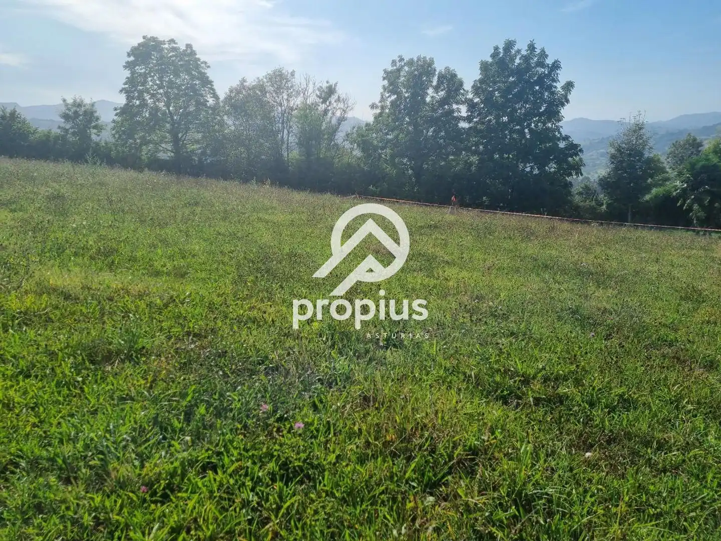 Rural land for sale in Arenas, imagen 3