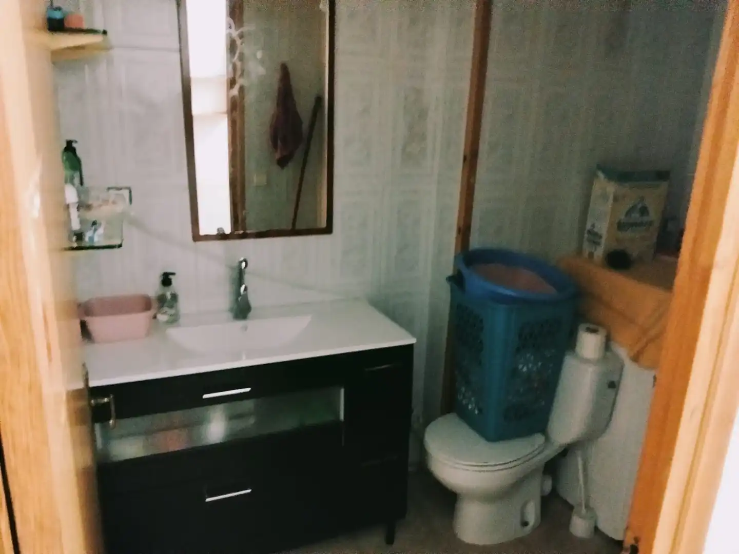 Bathroom of Detached homes for sale in Manlleu