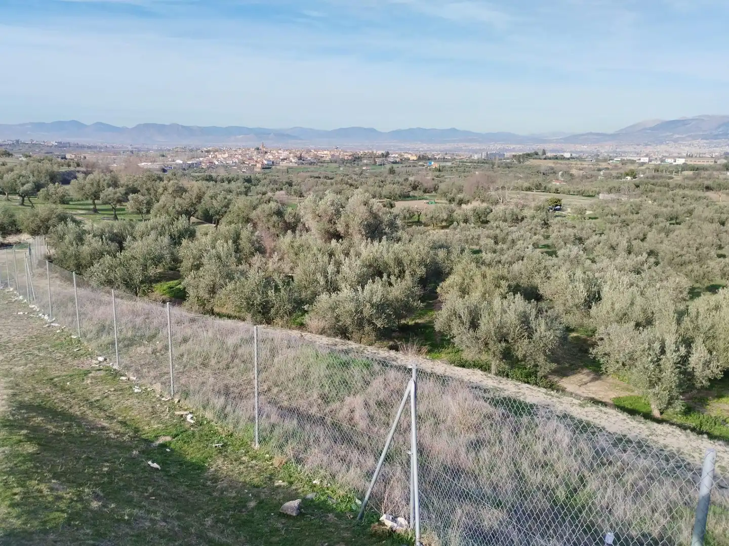 Terreno rustico in vendita a Urbanizacion PAGO VIÑA DEL REY, imagen 17