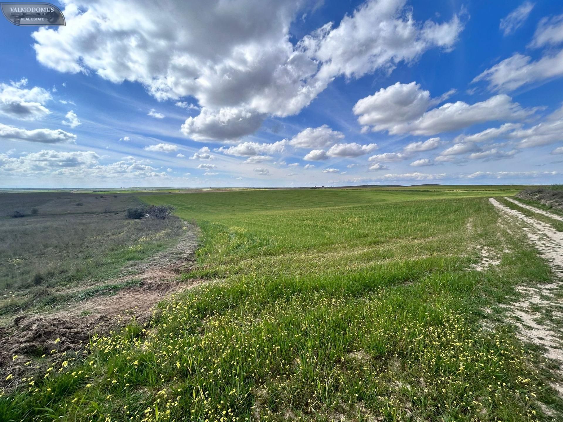 Land for sale in El Viso de San Juan