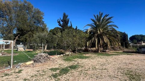 Photo 5 of Country homes for sale in Torre-Pacheco ciudad, Torre-Pacheco