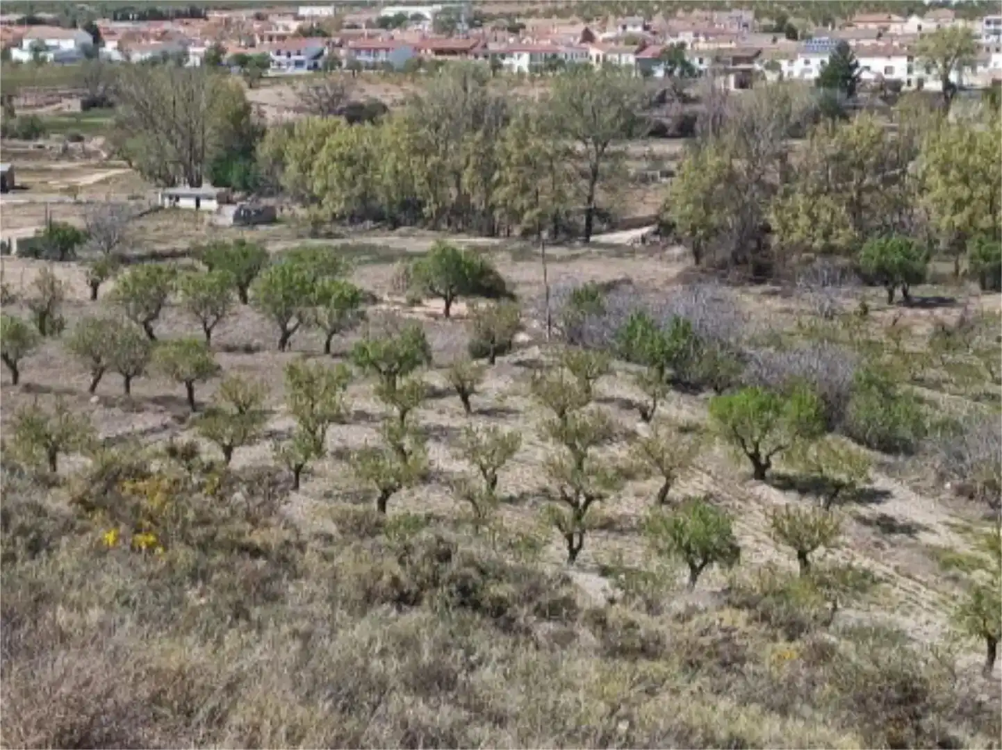 Terreno en venta en Chirivel, Almería