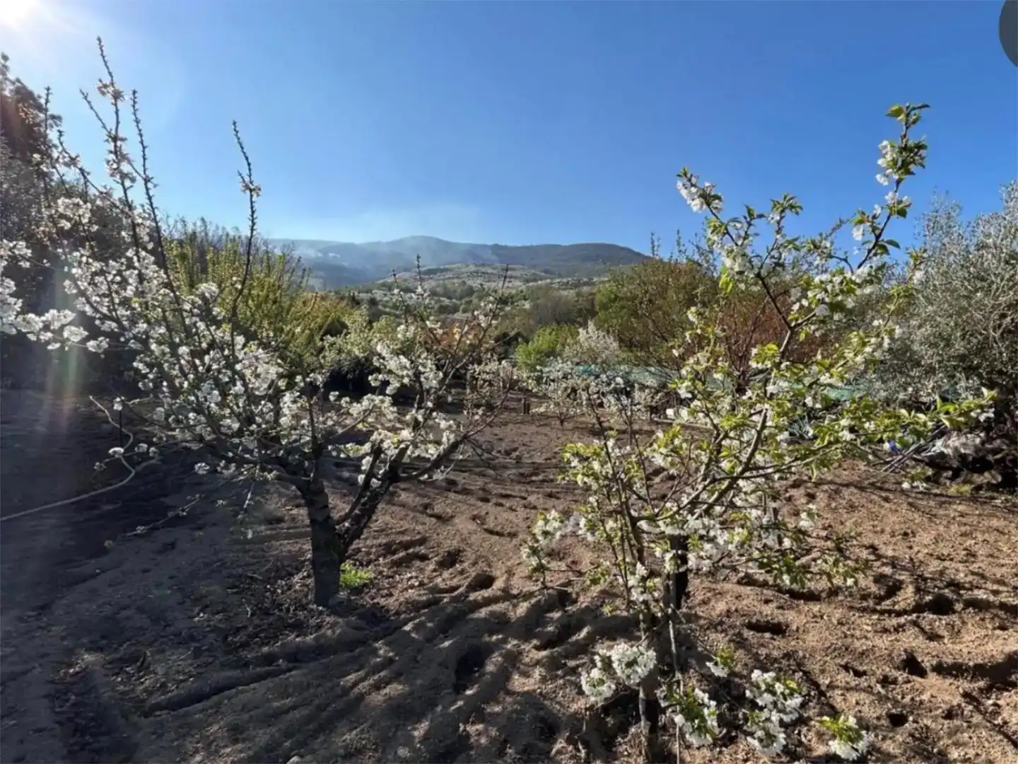 Jardí de Pis en venda en Casas del Castañar amb Jardí privat, Piscina i Moblat