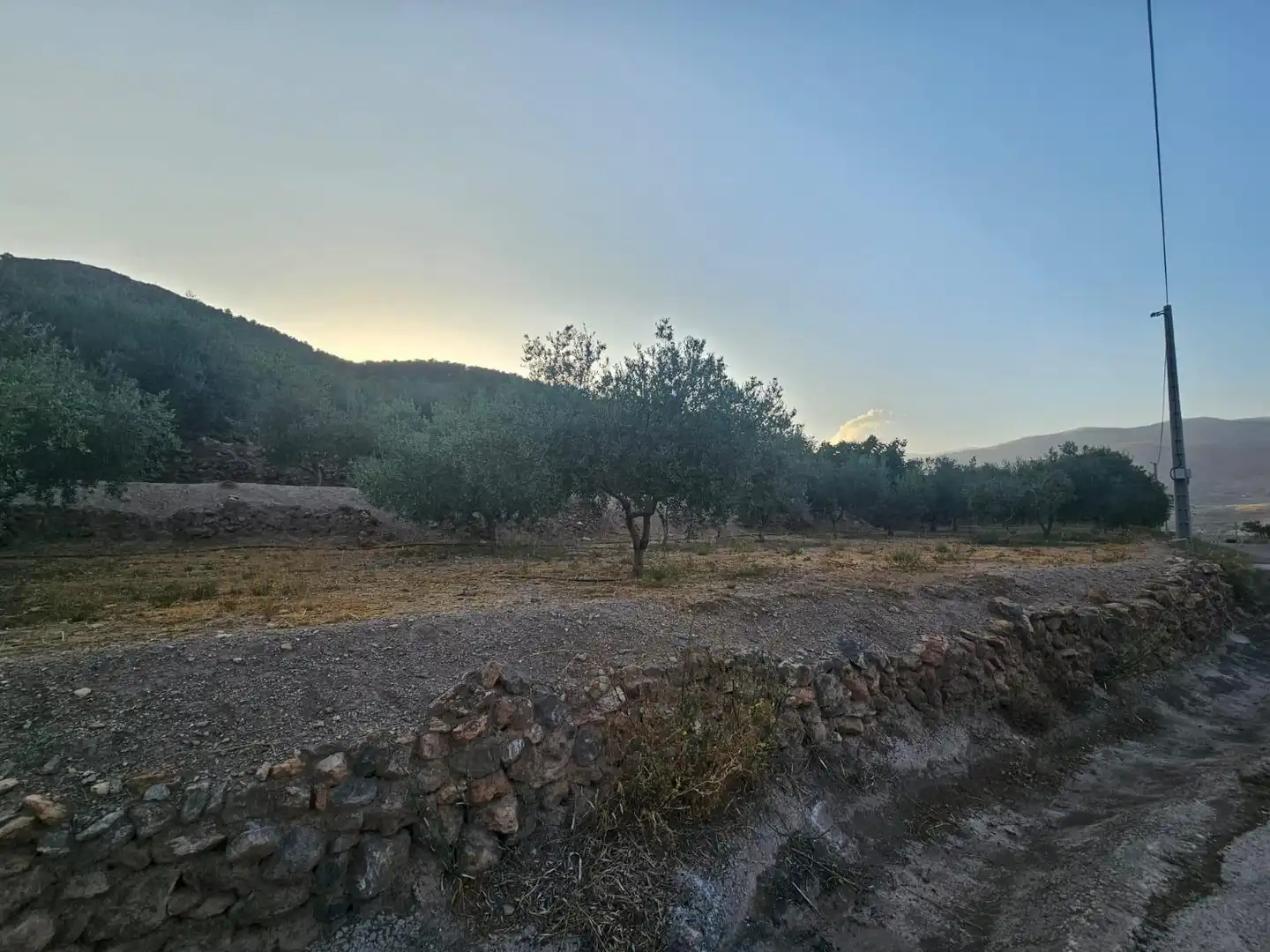 Finca rústica en venda en Fondón