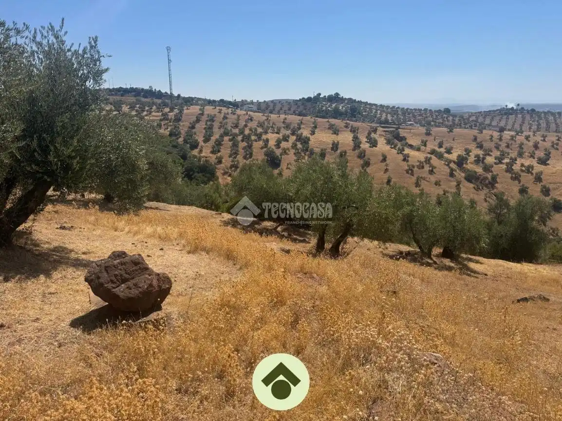 Terreny residencial en venda a Montoro, imagen 6