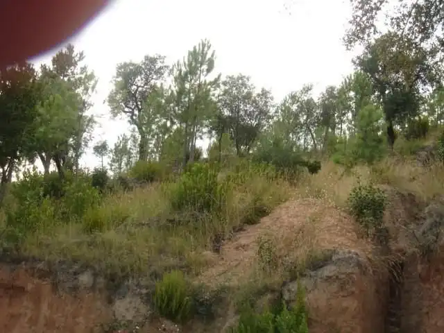 Terrenos y solares en venta en Riudarenes, imagen 5