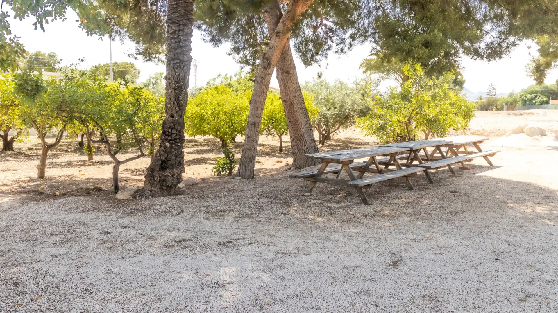 Jardín de Casa o chalet en venta en Elche / Elx con Aire acondicionado, Trastero y Amueblado