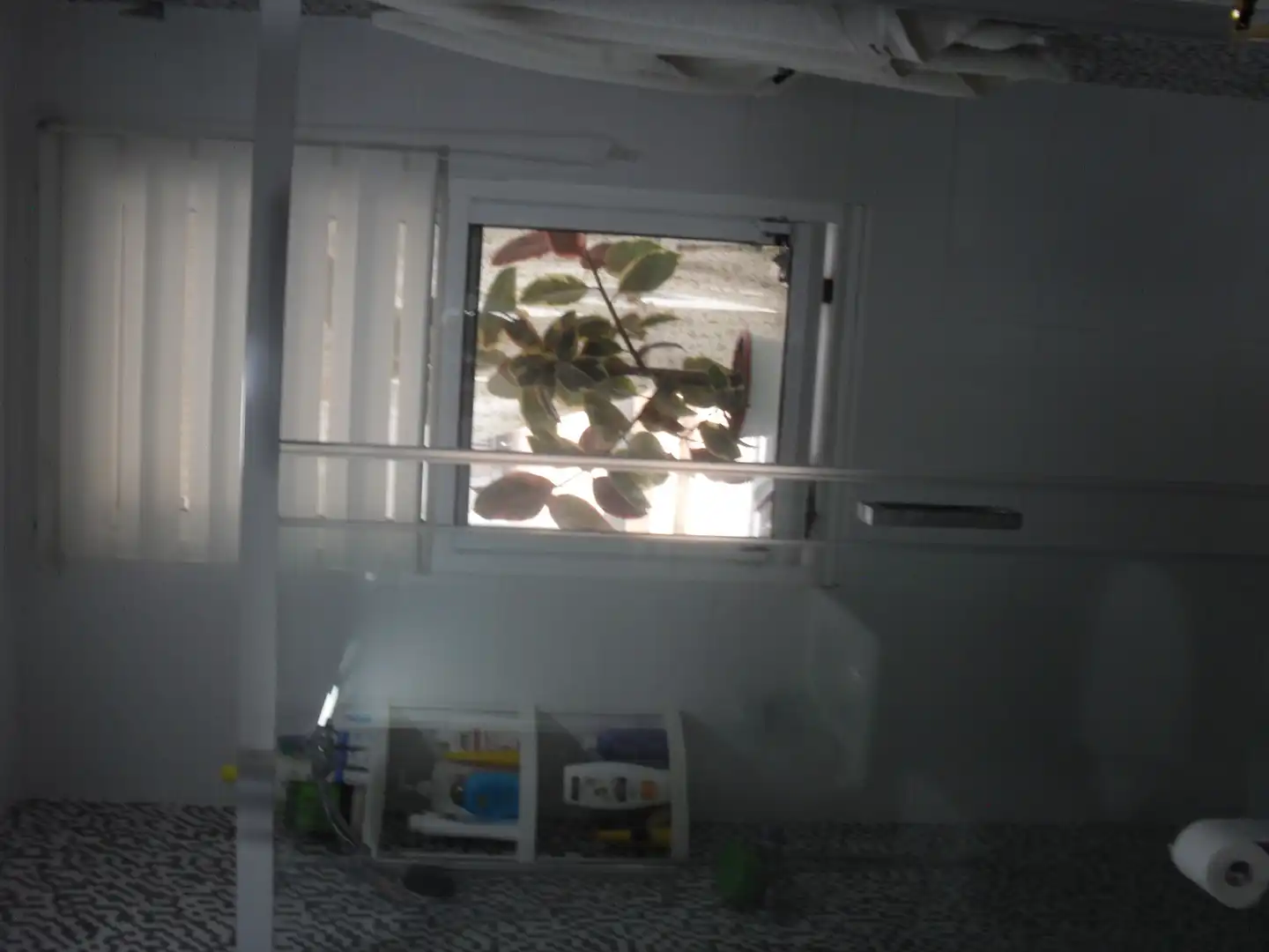 Bany de Casa o xalet en venda en Vigo  amb Jardí privat, Terrassa i Traster