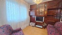 Living room of Single-family semi-detached for sale in Burgos Capital  with Heating and Parquet flooring