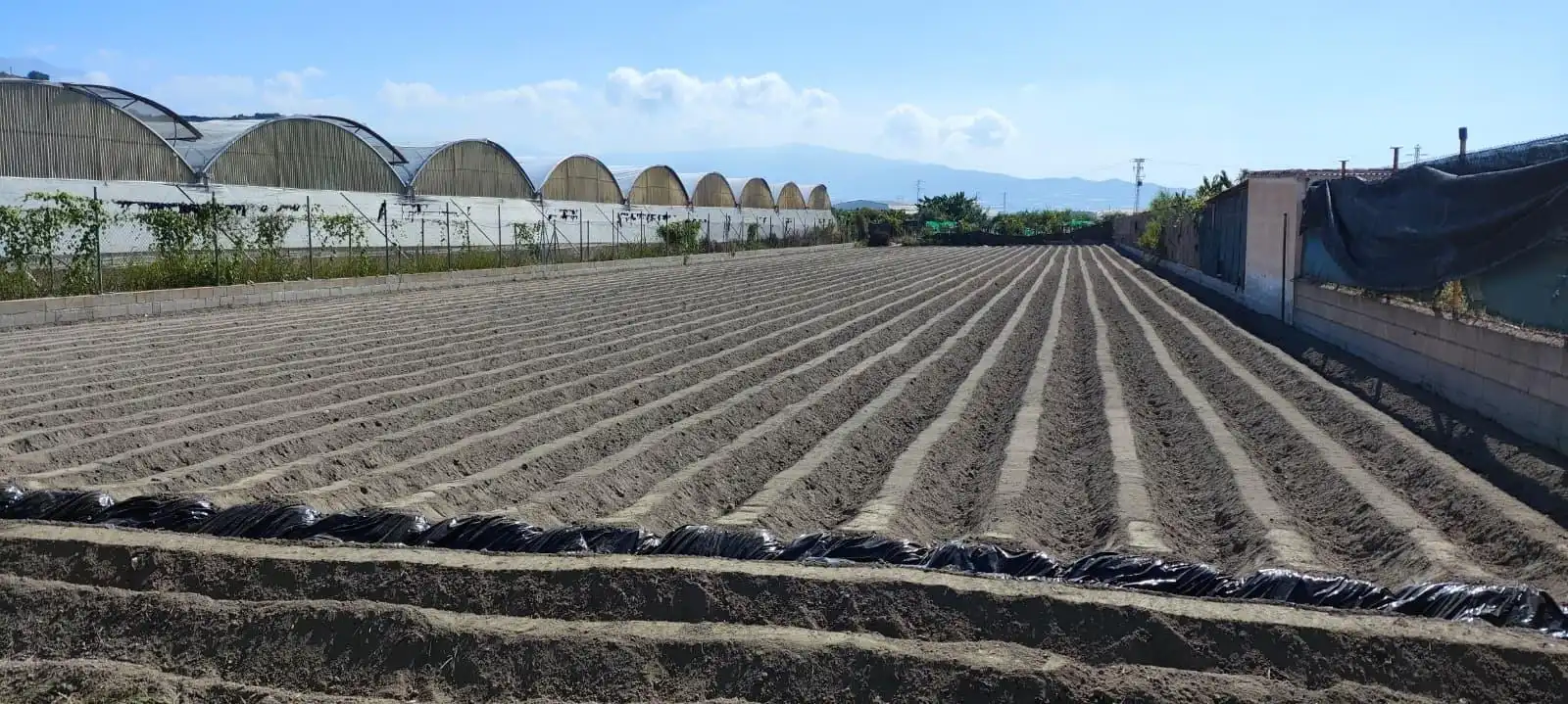Garten von Grundstücke zum Verkauf in Motril