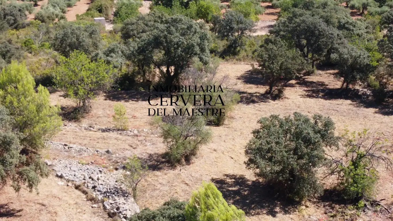 Terreno rustico in vendita a Cervera del Maestre, imagen 11