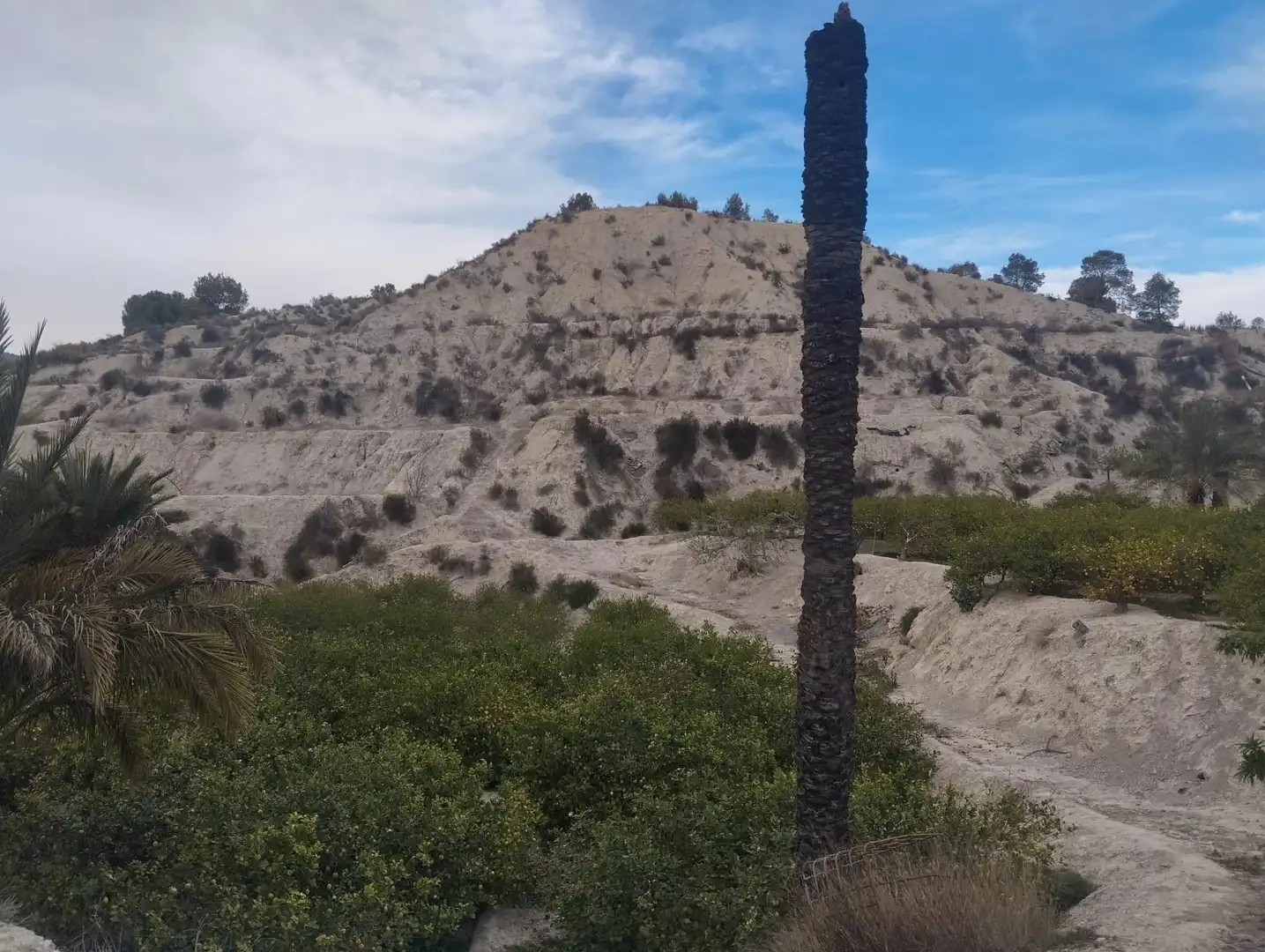 Vista exterior de Terreno en venta en Ulea