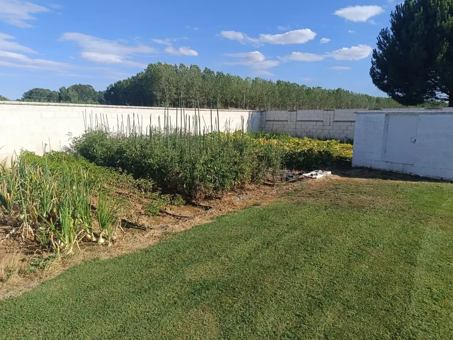 Finca rústica en venda en Husillos  amb Piscina
