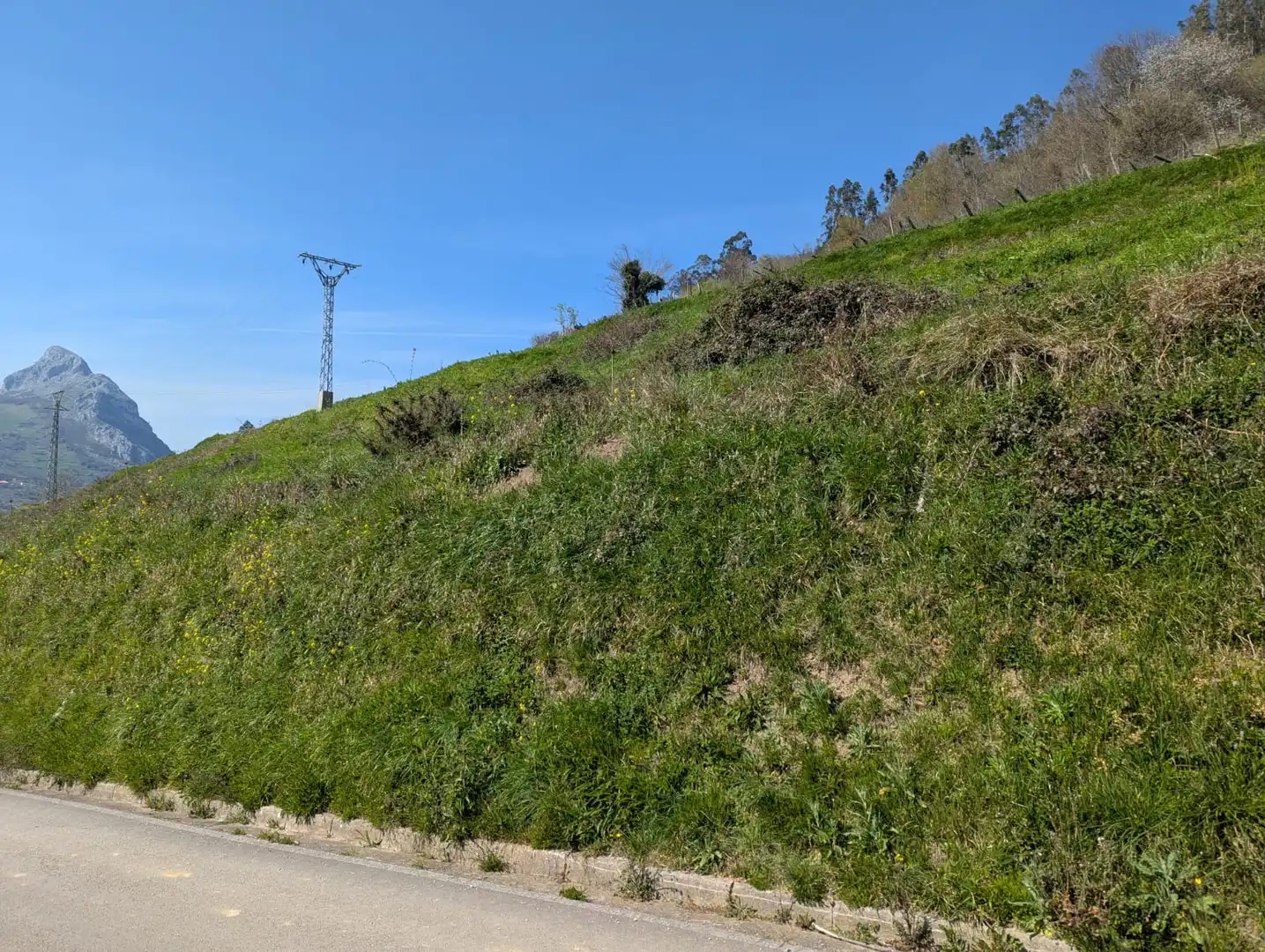 Grundstücke und Bauplätze zum Verkauf in Travesía de Panes 16, imagen 6