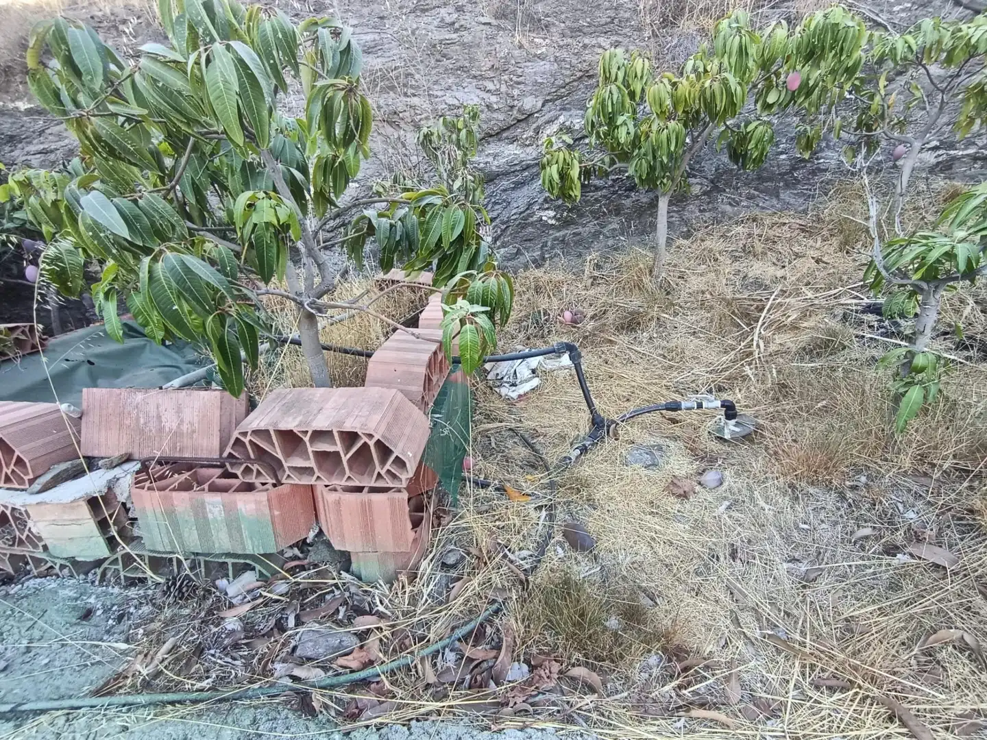 Terrenys i solars en venda a Canillas de Aceituno, imagen 50