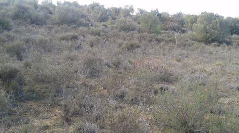 Finca Rúst. en venta en Sarroca De Lleida.