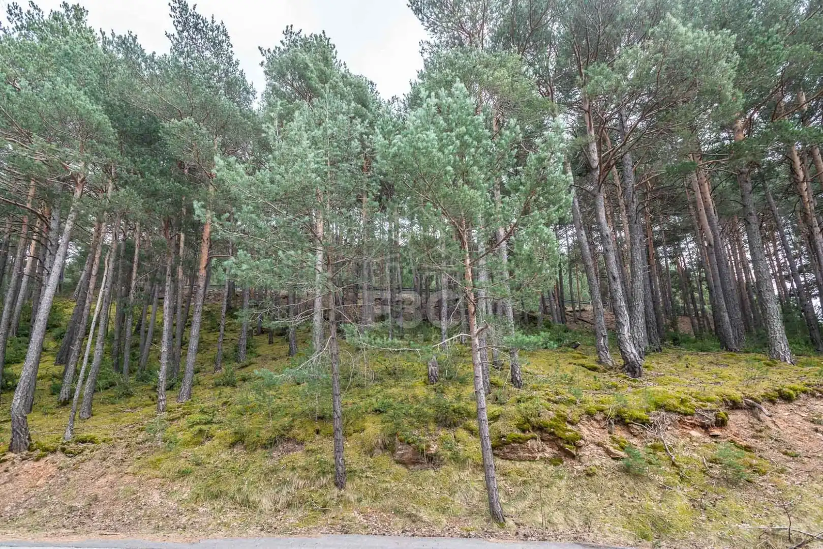Terreno en venta en Aubinyà - Juberri