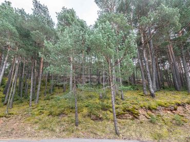 Rural land for sale in Aubinyà - Juberri