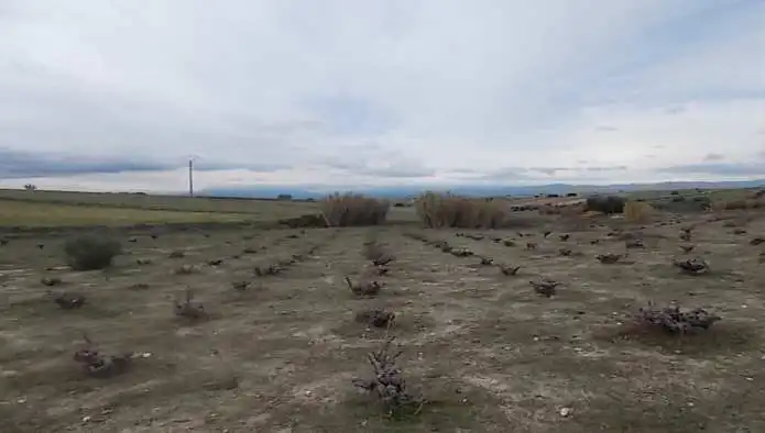 Rustikales Grundstück zum Verkauf in Pt Paraje La Perdiguera, imagen 9