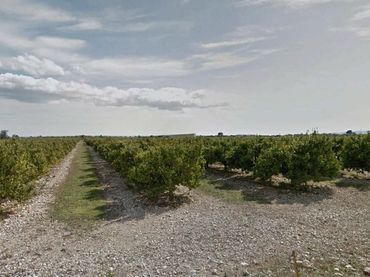 Terreno rustico in vendita a Traiguera