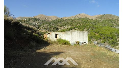Una Finca grande con cortijo, imatge 2