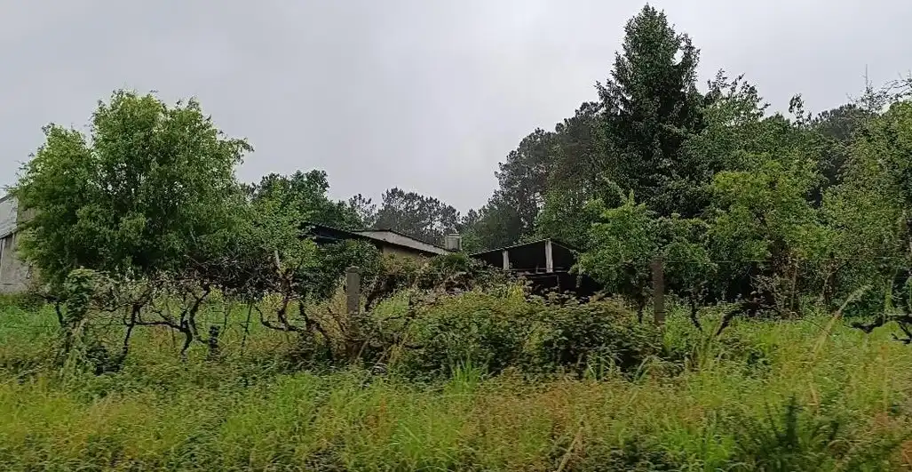 Nau industrial en venda a Lugar Bendaña, imagen 17