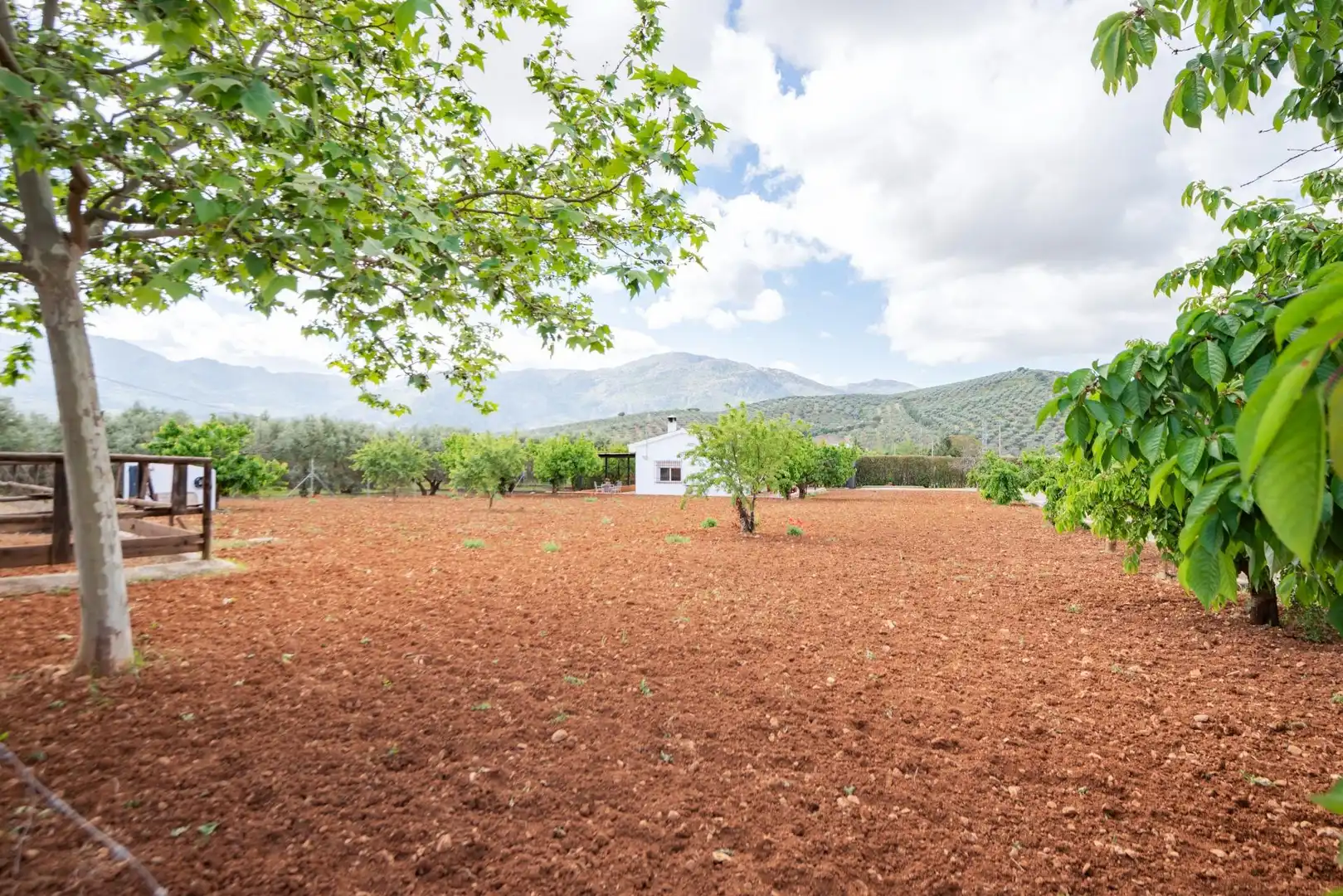 Casa amb jardí en venda a Villanueva del Rosario, imagen 38
