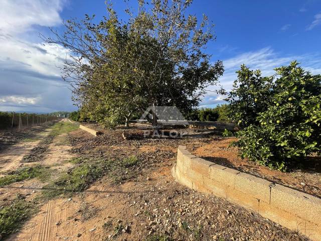 Terreno en Venta en Carcaixent