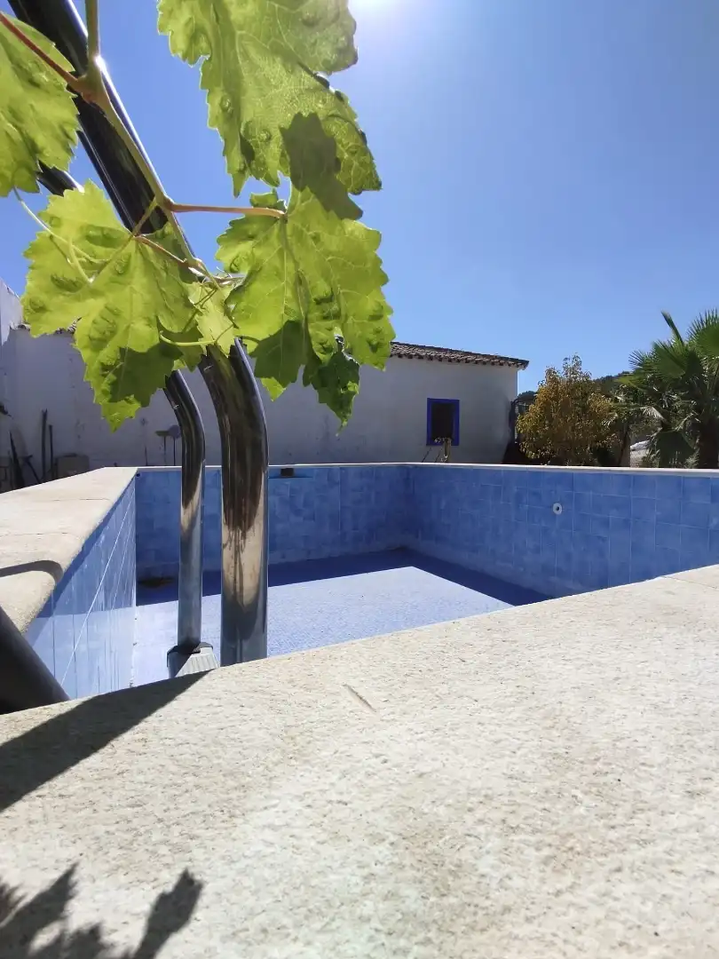 Piscina de Finca rústica en venda en Cabra amb Jardí privat, Terrassa i Piscina