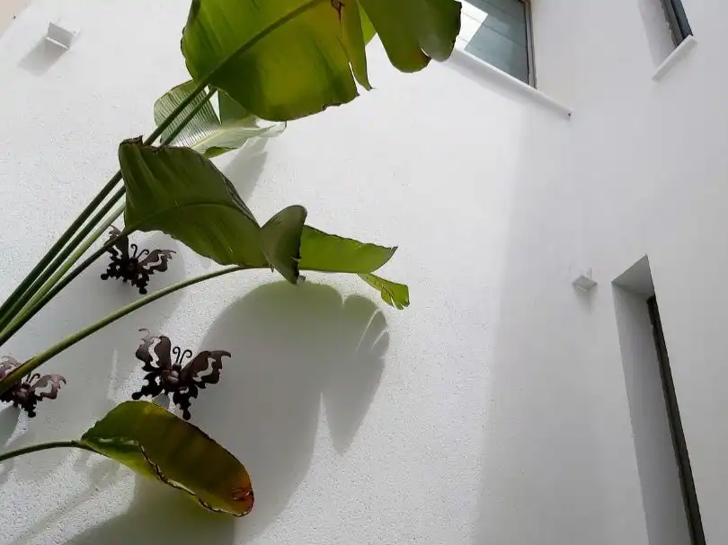 Terrassa de Casa o xalet de lloguer en Las Negras