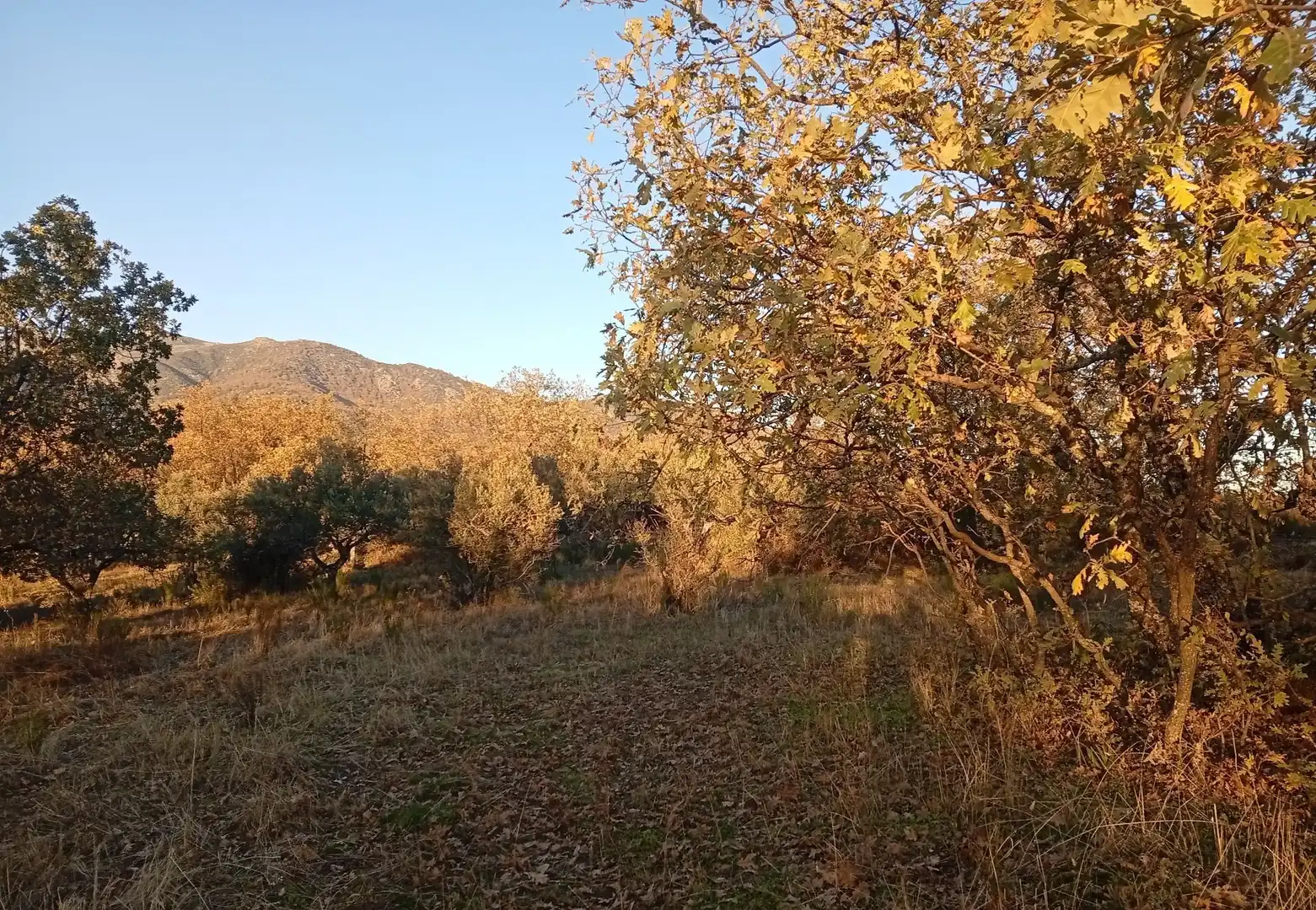 Terreni e lotti in vendita a Viandar de la Vera, imagen 19